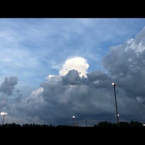 Meet your Posher, Bucky